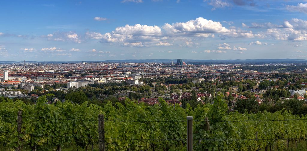 Ausblick auf Wien Bäume pflanzen dank online Rechnung